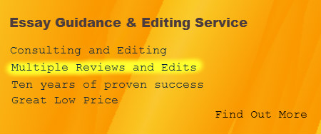 Essay Editing Service