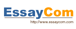 EssayCom